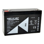 Bateria Servicio 6V 12 Ah